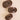Brown Crocodile Large Flat Round Hair Clip By Teleties
