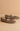 Coffee Ballet Pointe Flat