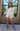 Collared Sweater Dress Cream